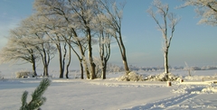 The Winter's snow was truly beautiful
