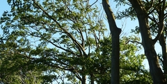 Nature on our doorstep