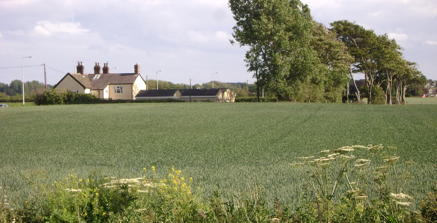 Meadows ideal for bird watching