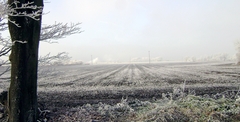 A field of snow