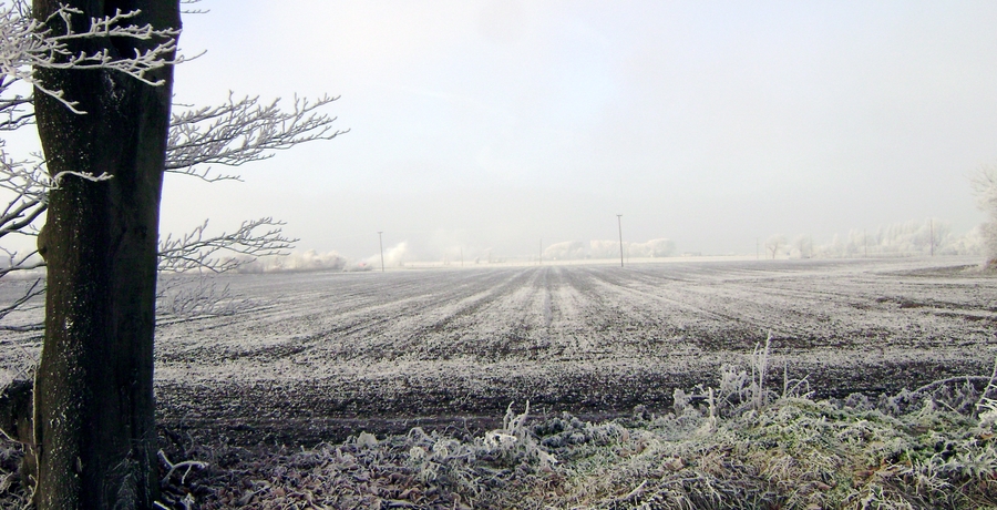 A field of snow