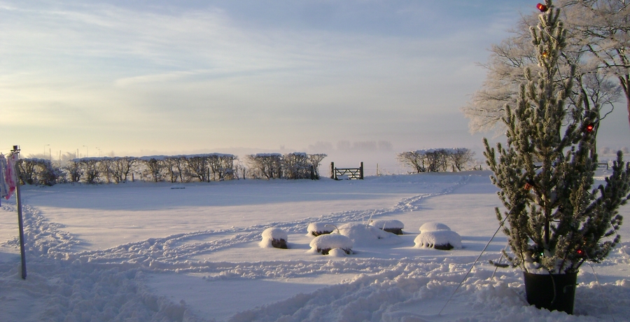 Celebrating a white Christmas