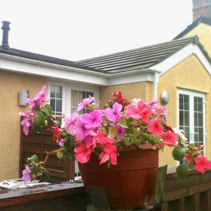 EXTERIOR VIEW OF COTTAGES